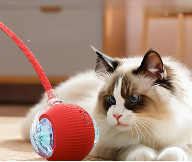 Balle interactive lumineuse pour chat  -50%