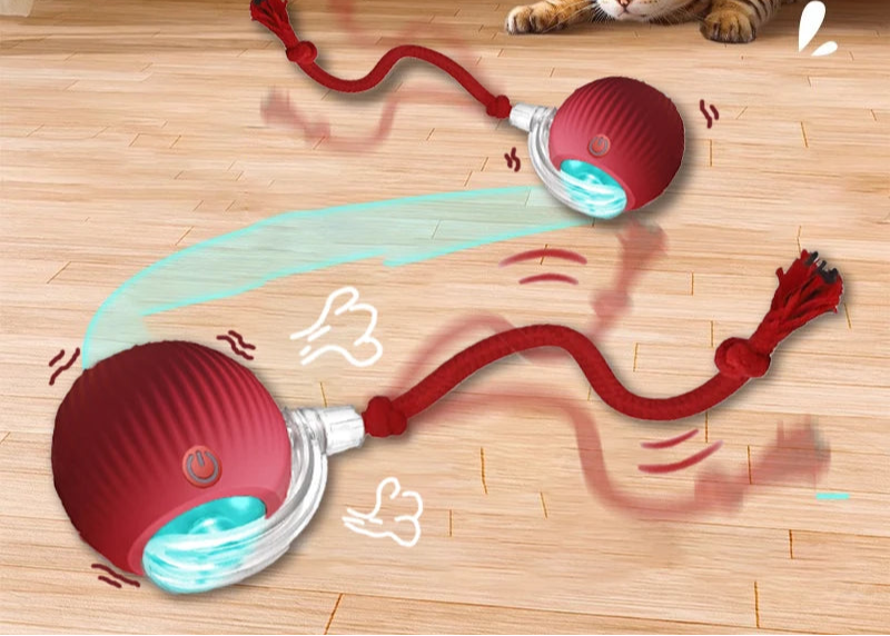 Balle interactive lumineuse pour chat  -50%