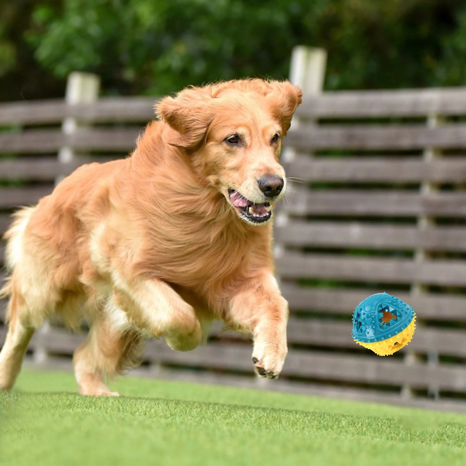 Balle interactive pour chien